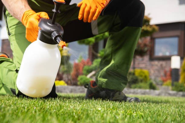 Best Residential Pest Control  in Hobart, IN